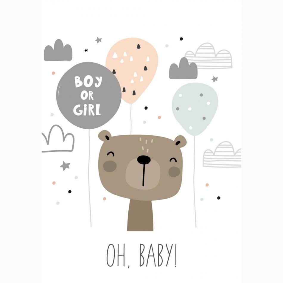 Geboorte Boy or Girl, Oh Baby!